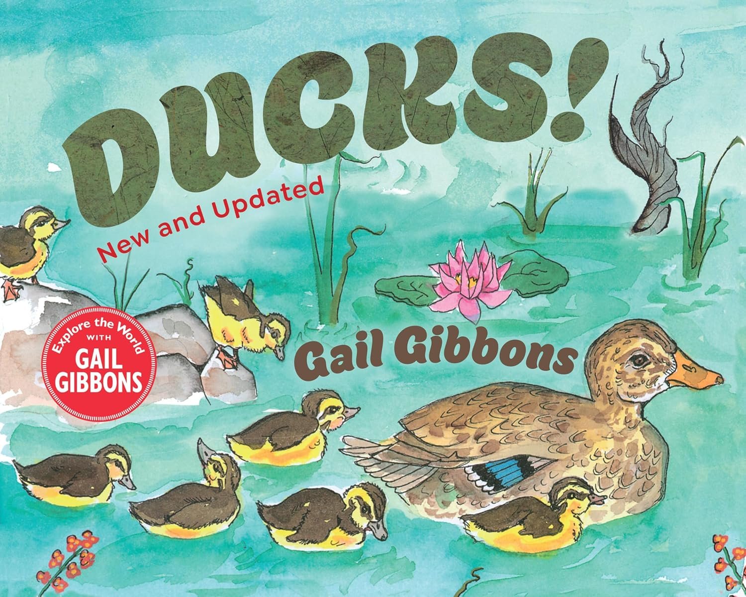 Ducks! (New and Updated)