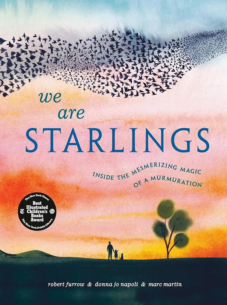 We Are Starlings