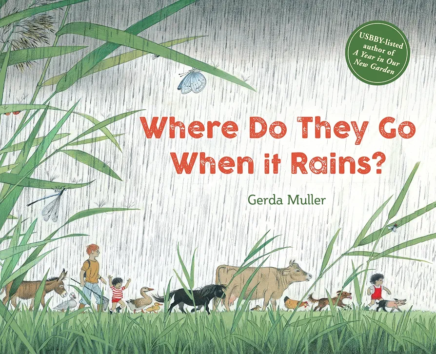 Where Do They Go When It Rains