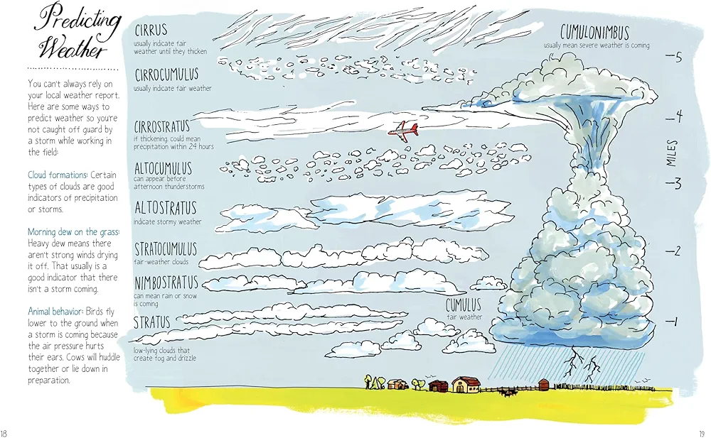 Farm Anatomy preview