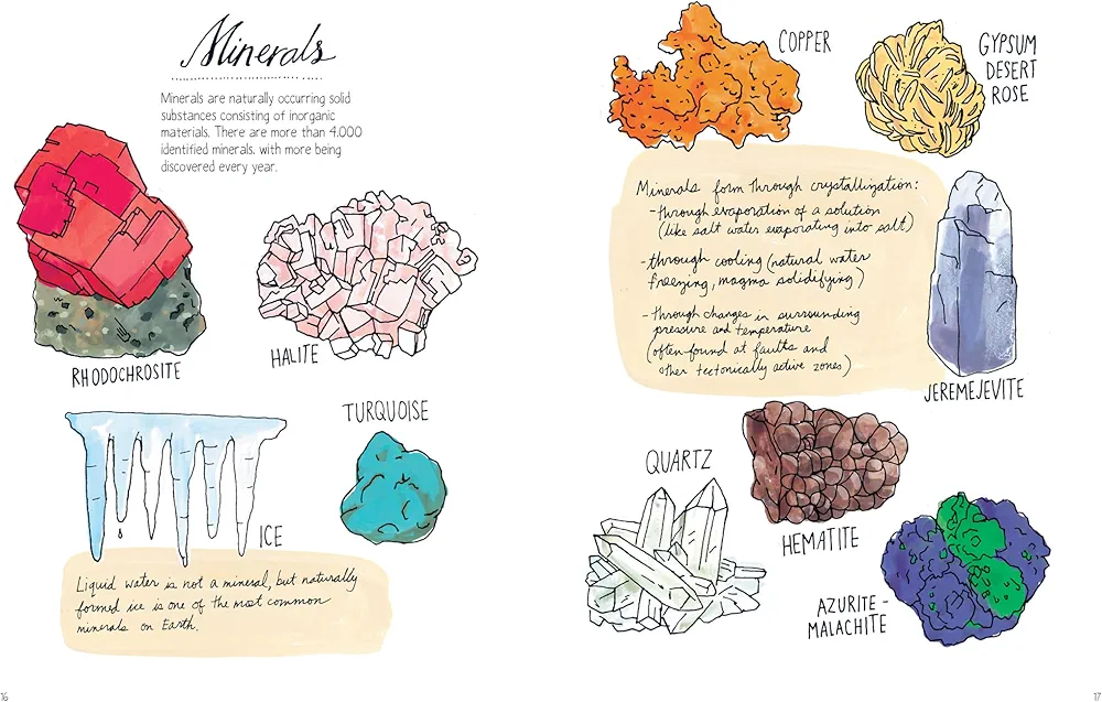 Nature Anatomy preview
