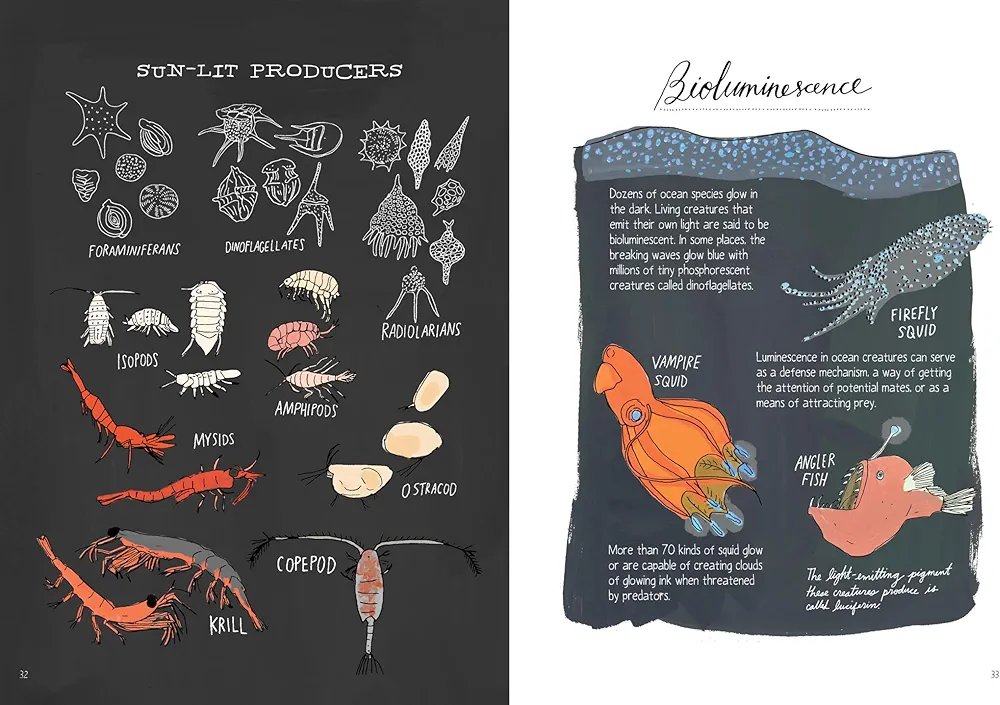 Ocean Anatomy preview