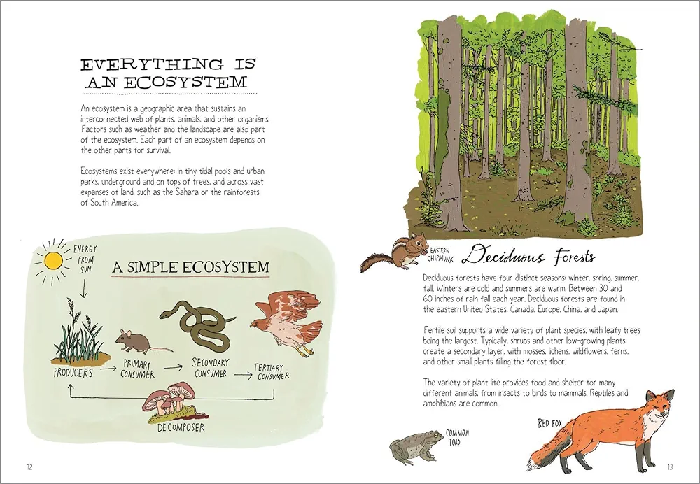 Wildlife Anatomy preview