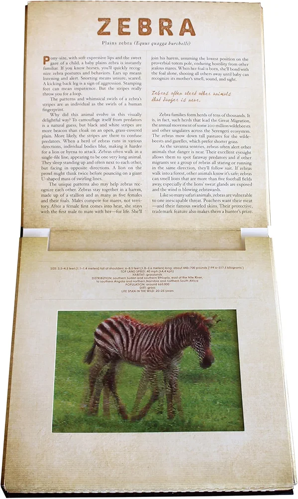 Safari preview