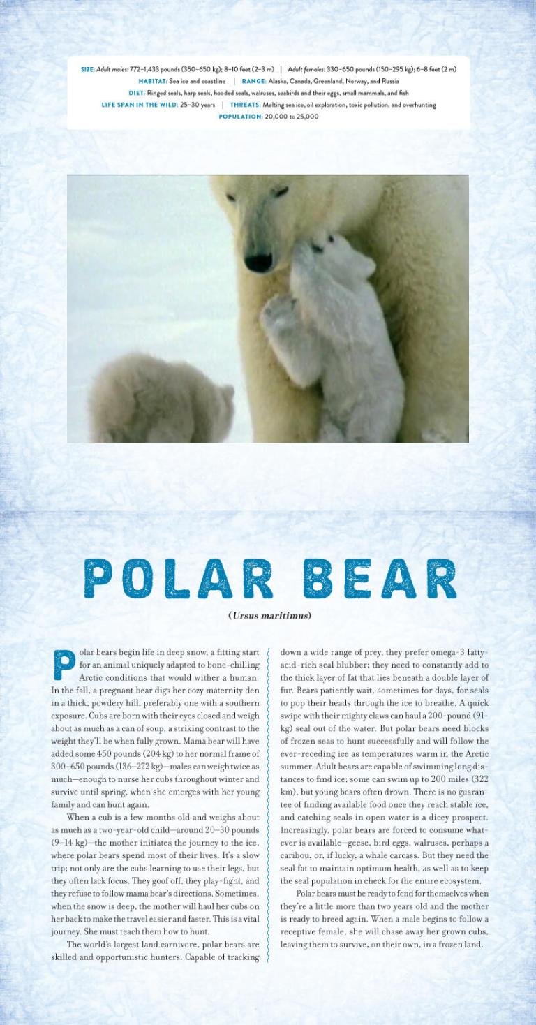 Polar preview