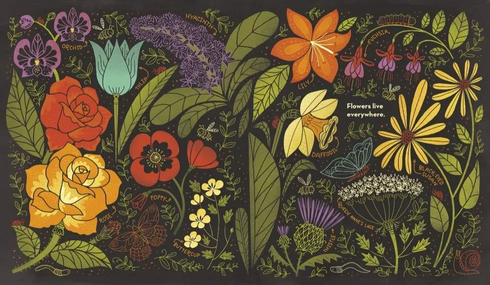 What's Inside A Flower? preview