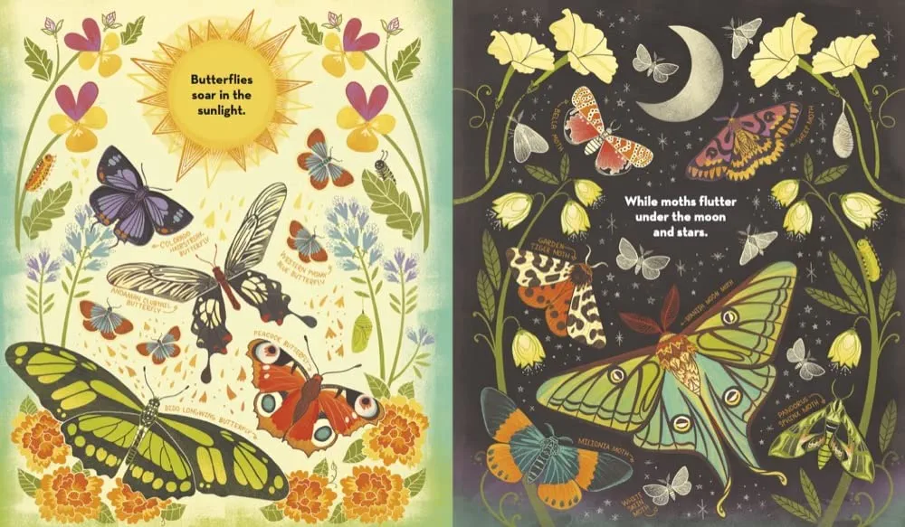 What's Inside a Caterpillar Cocoon? preview