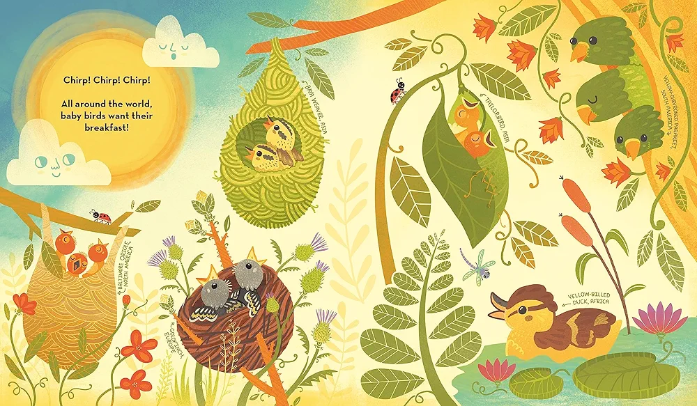 What's Inside A Bird's Nest? preview