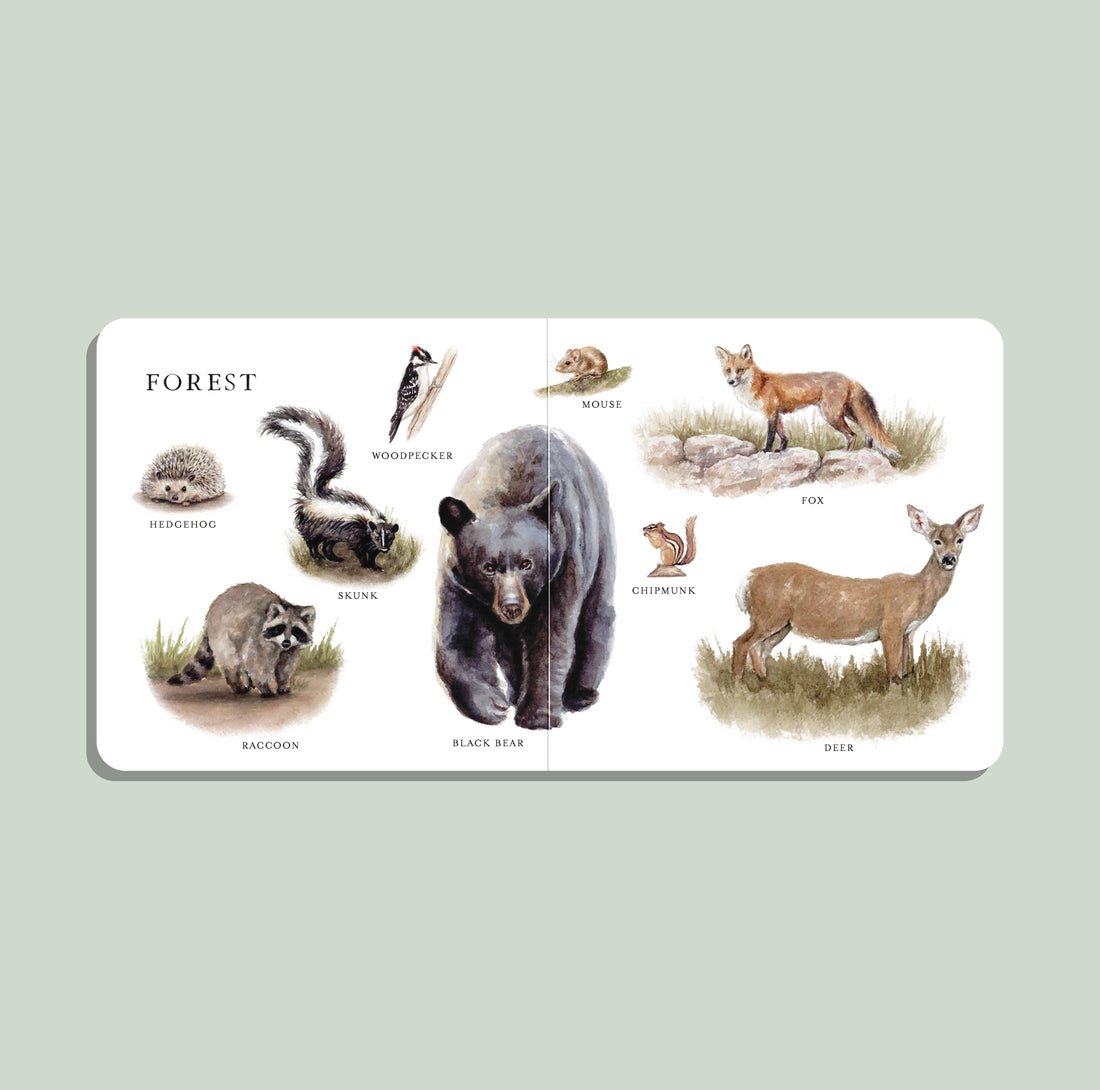 Our Big Book of Animals preview