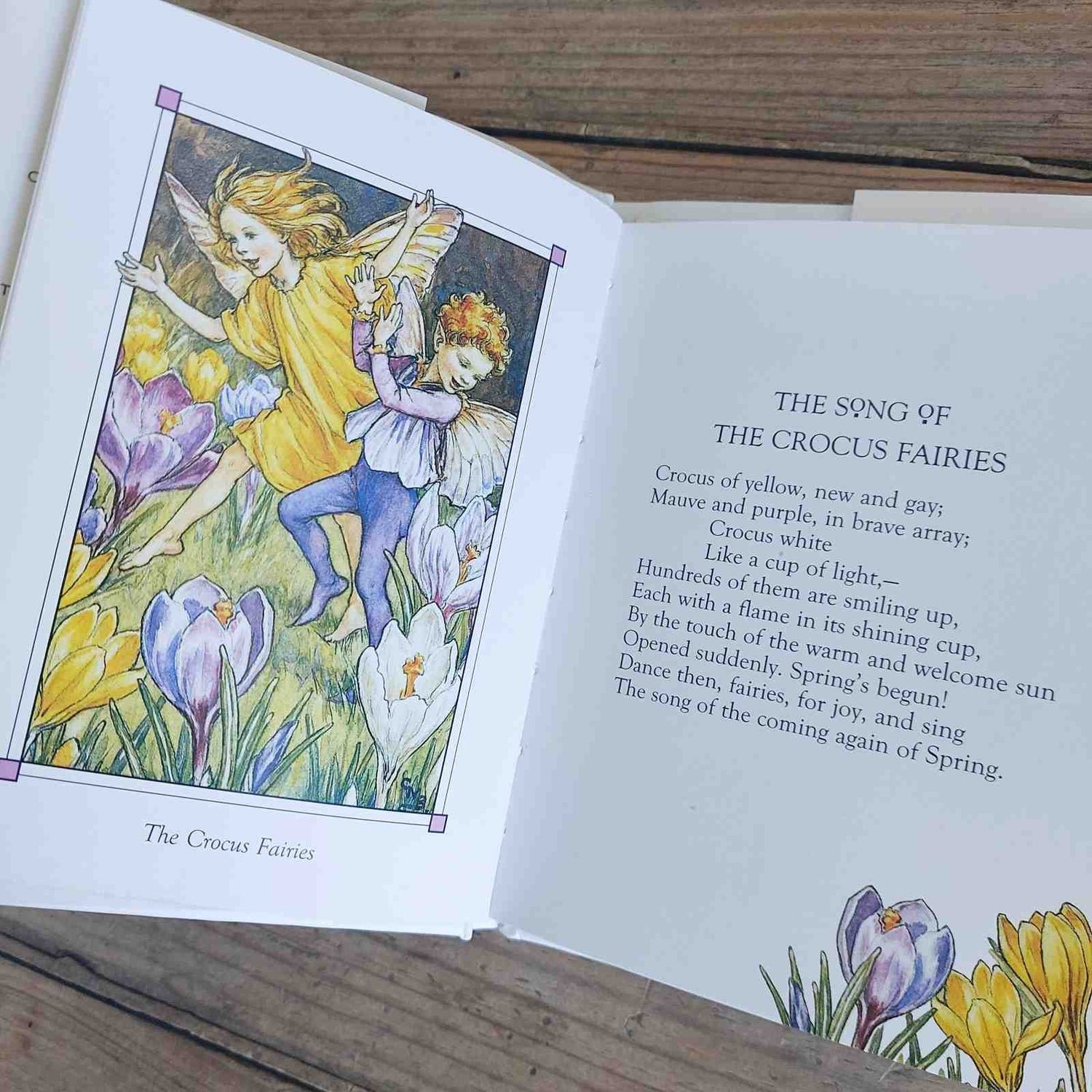 Flower Fairies of the Spring preview