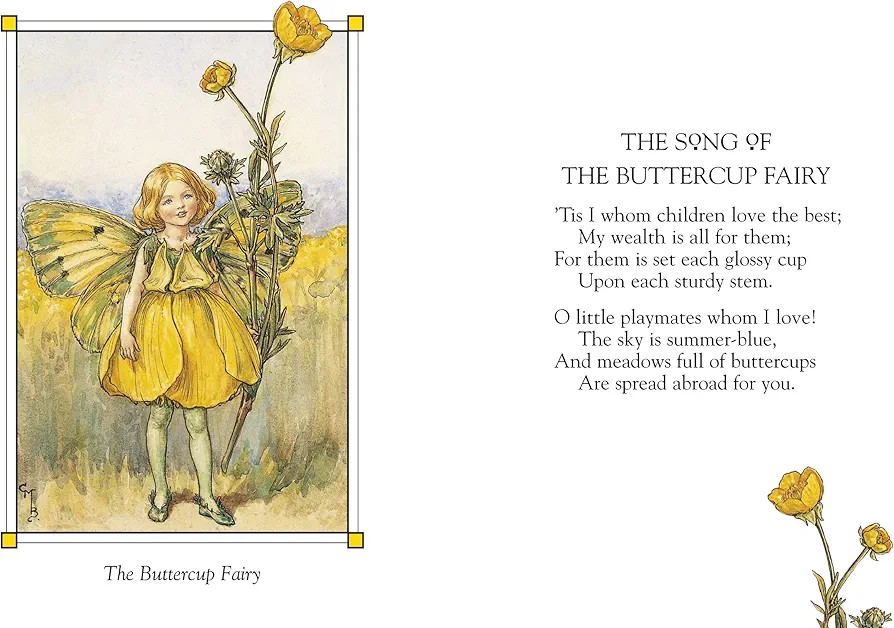 Flower Fairies of the Summer preview