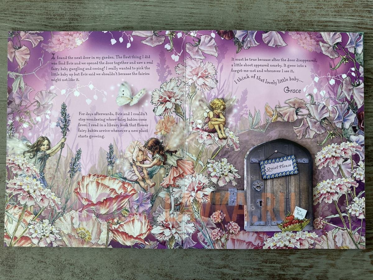 Flower Fairies Magical Doors preview