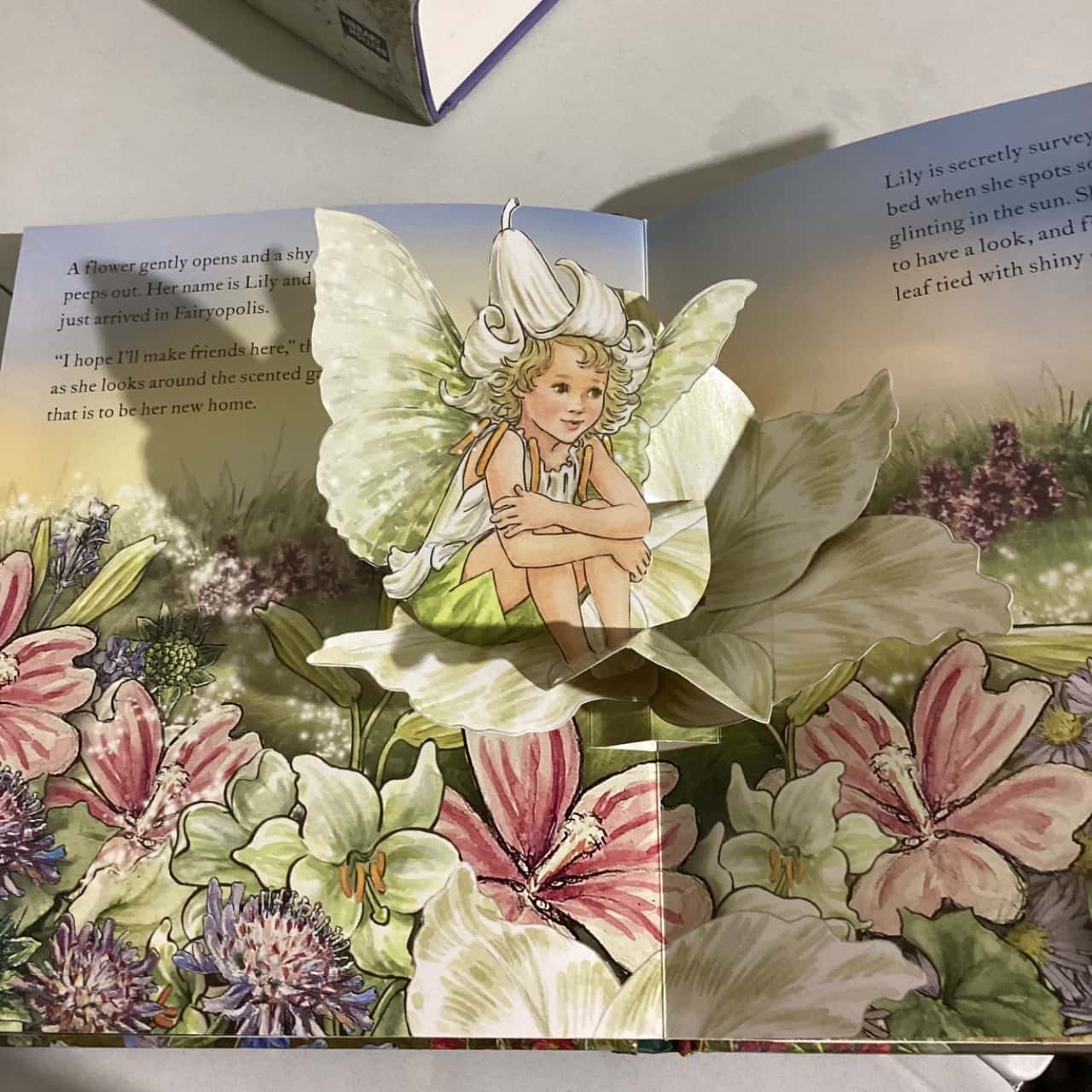 Magical Secret Garden preview