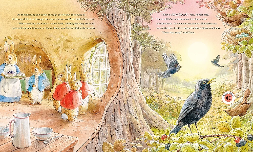 Peter Rabbit: Peter's Nature Walk preview