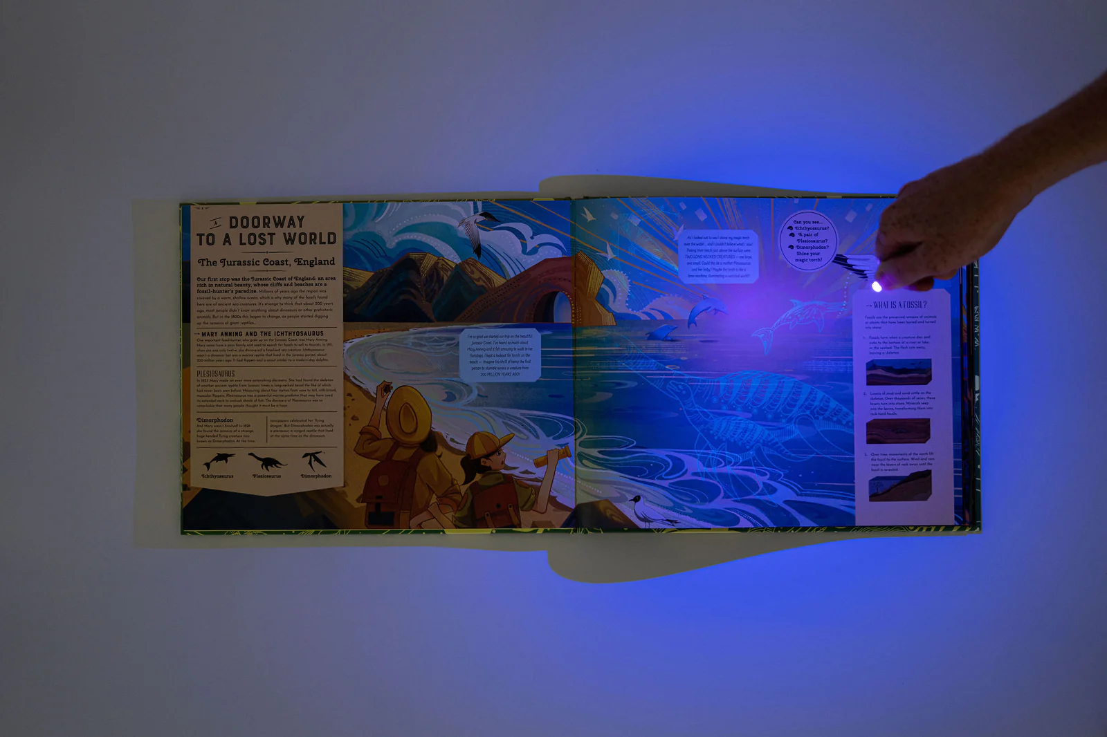 Thumbnail 3