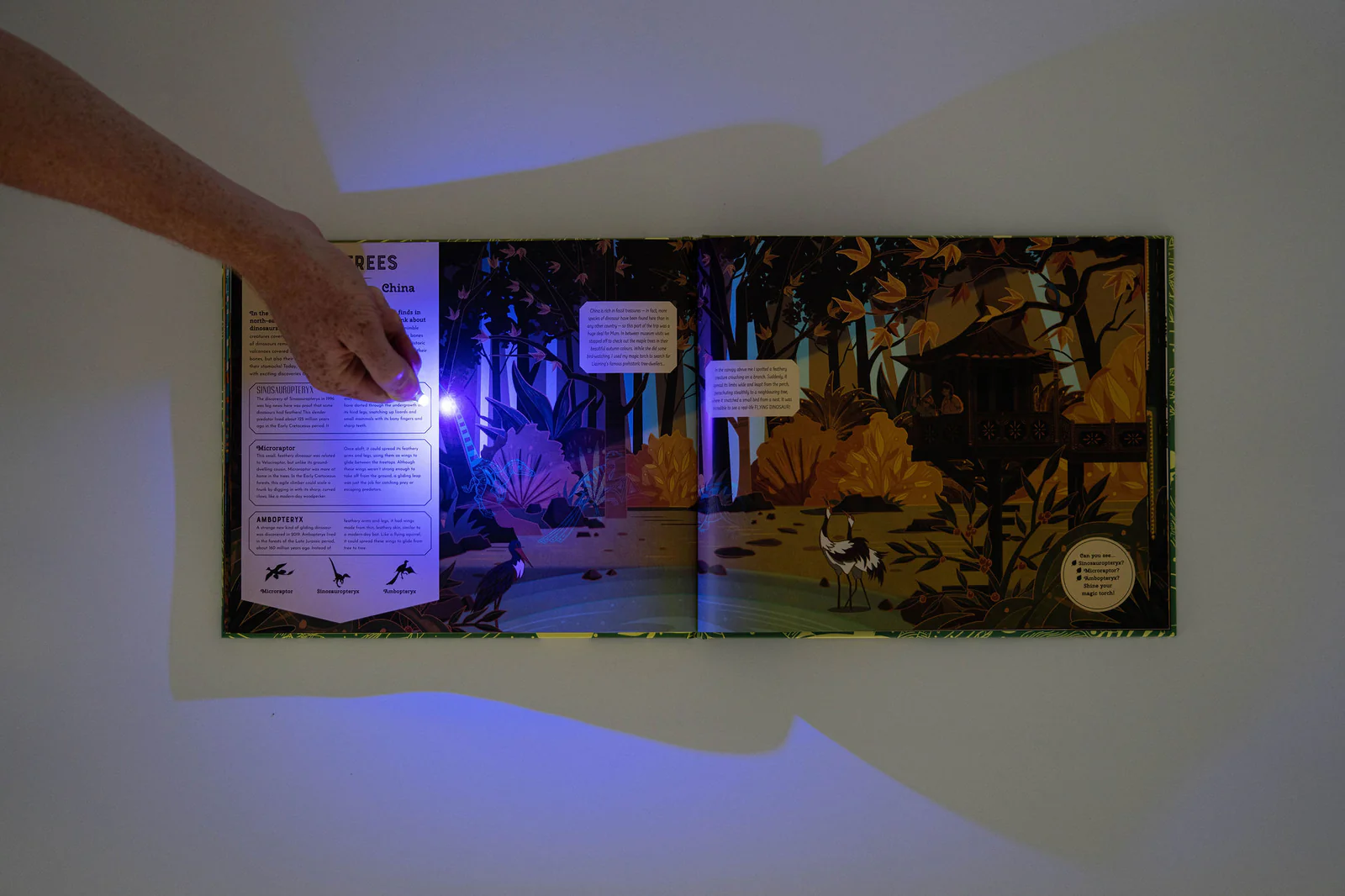 Thumbnail 9