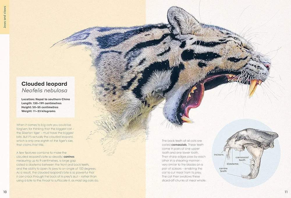 Ben Rothery's Deadly and Dangerous Animals preview