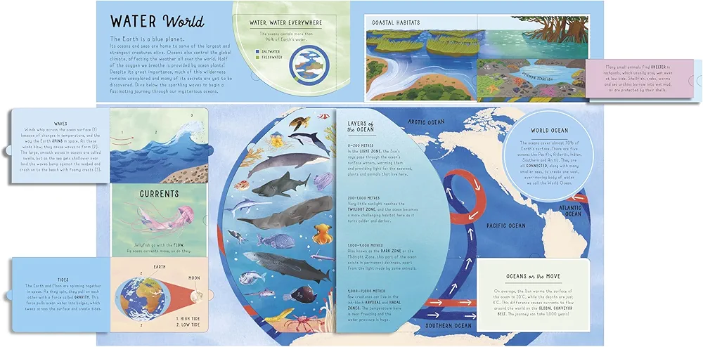 The Lift-The-Flap Encyclopaedia of Oceans preview