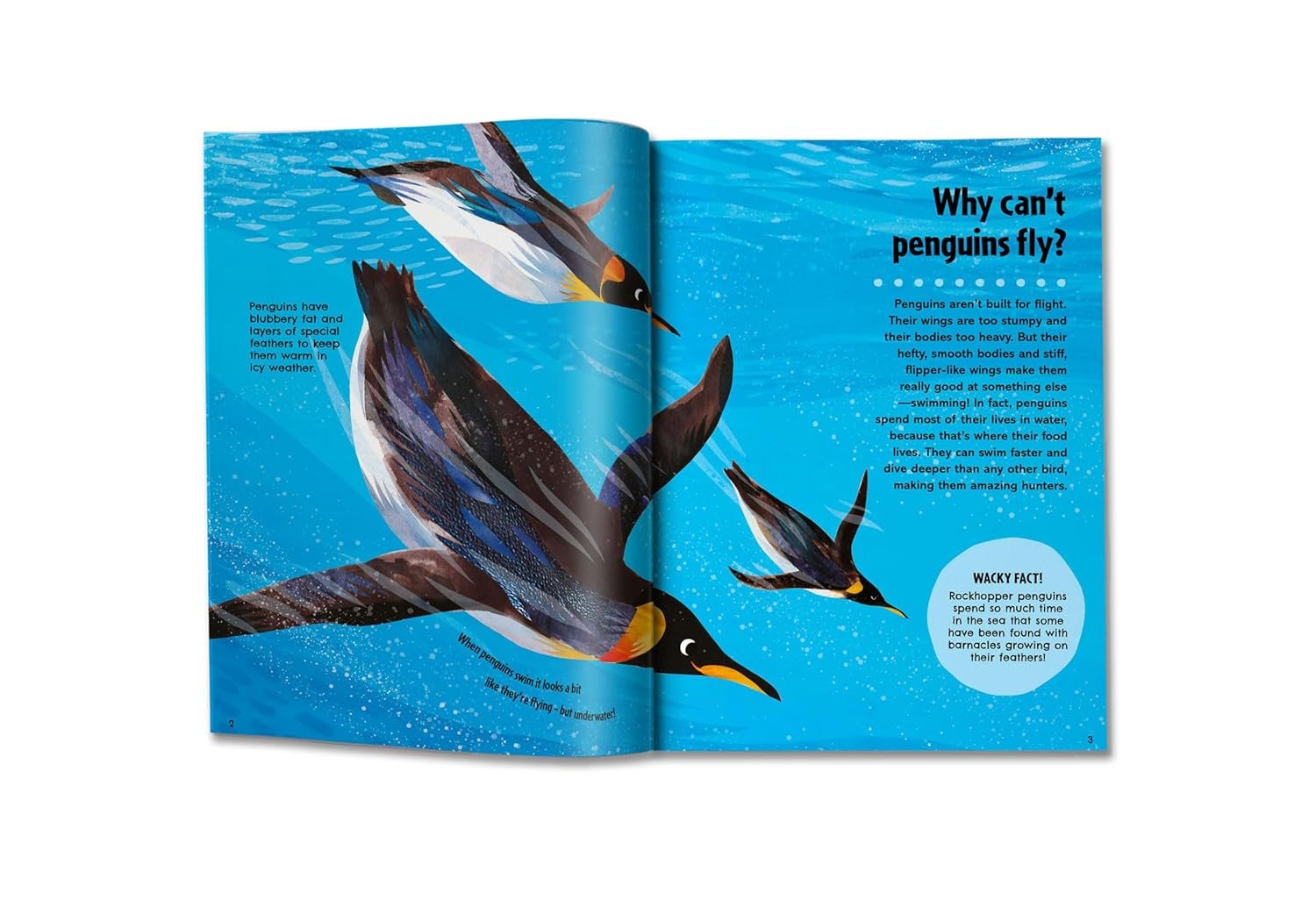 Britannica First Big Book of Why preview