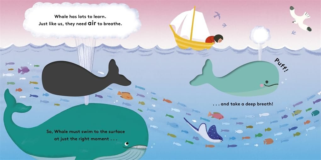 Little Life Cycles: Whale preview