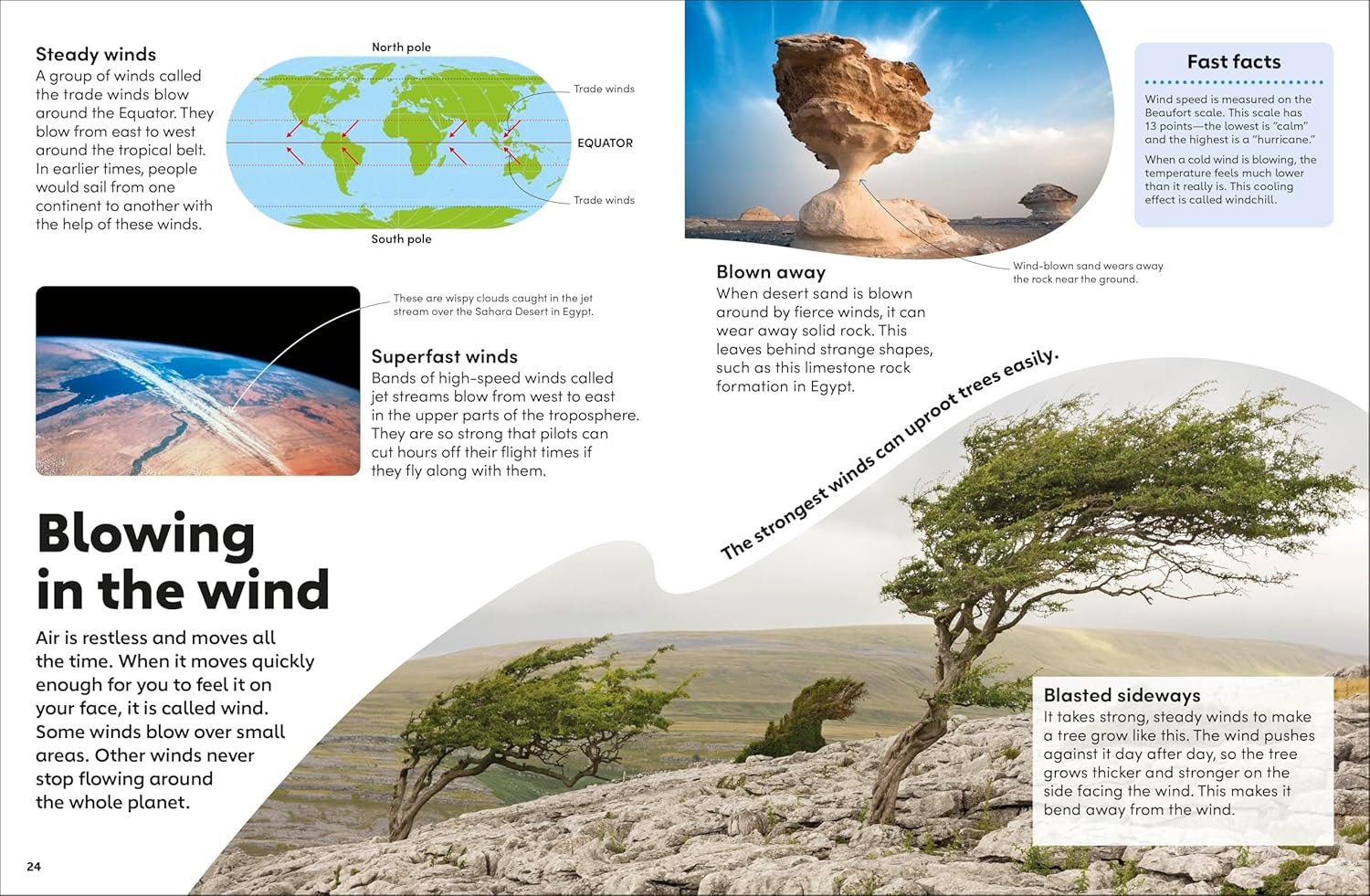 Eyewonder Weather preview