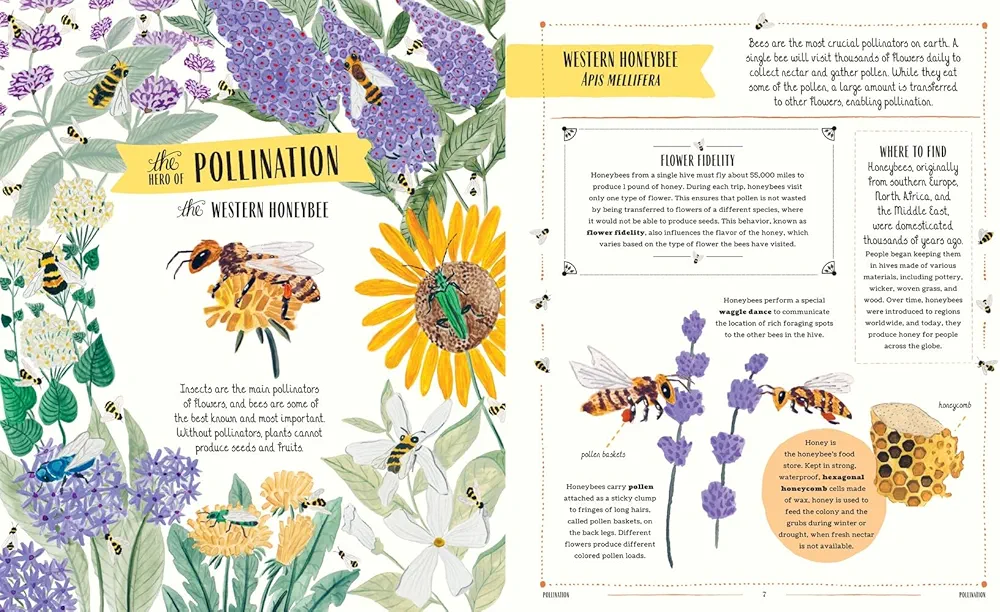 Buzz: A Family Guide to Bugs and Bees and How to Spot Them preview