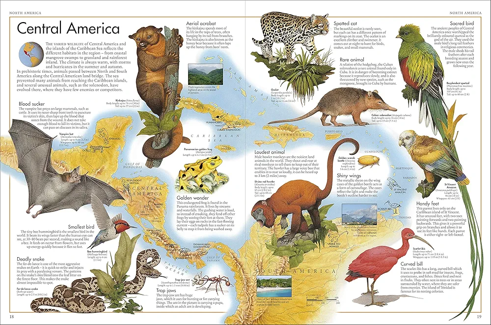 The Animal Atlas preview