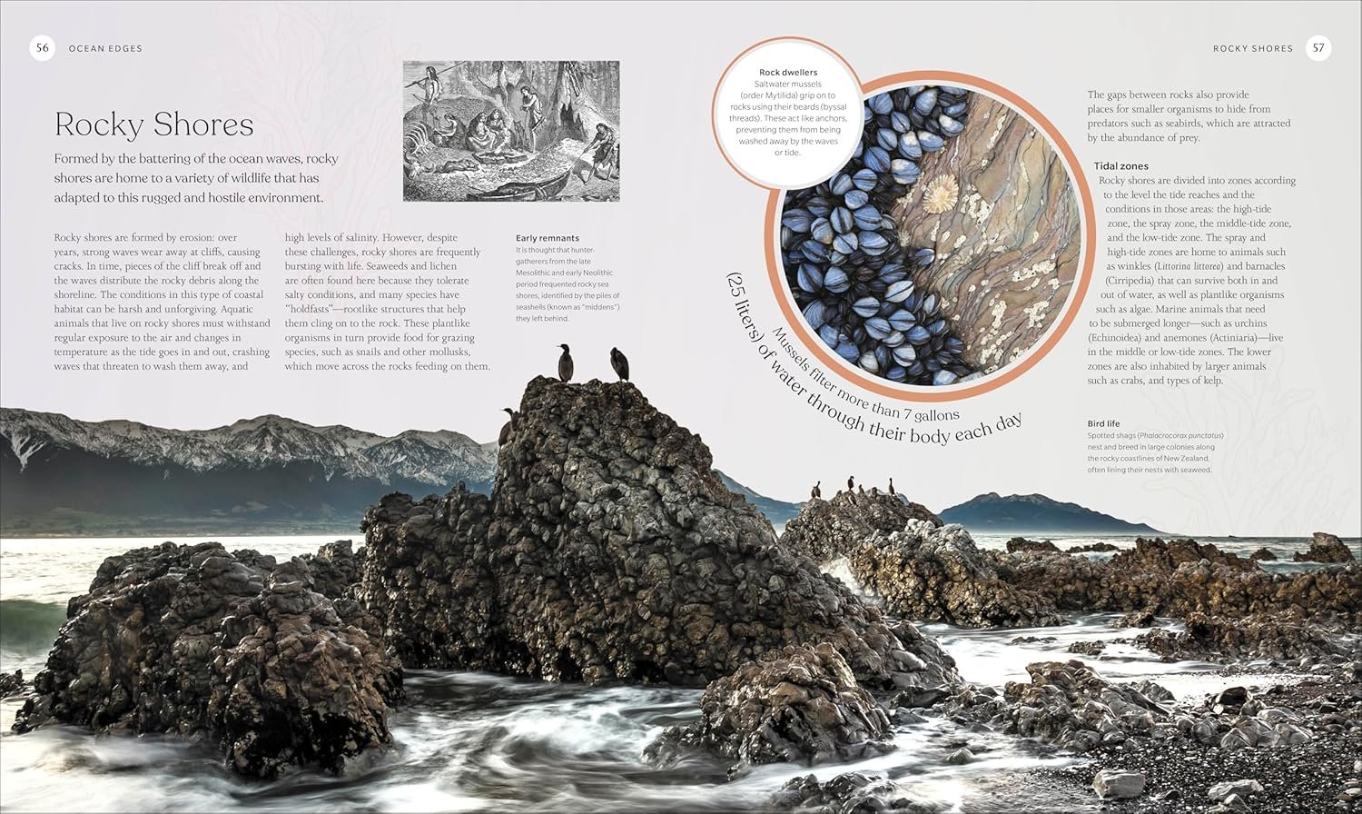 The Ocean Book preview