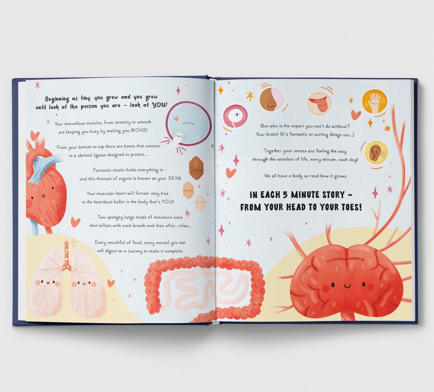 5 Minute Human Body Stories preview