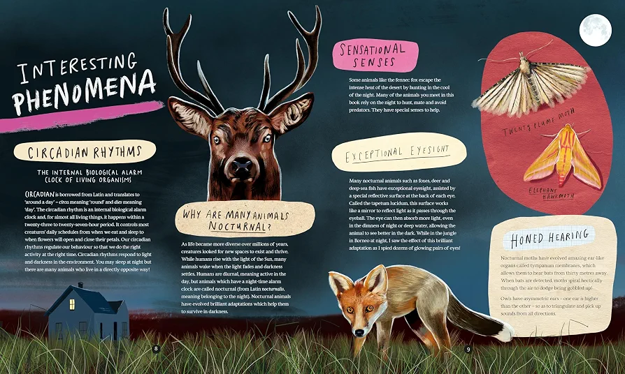 A Wild Child's Book of Nature at Night preview