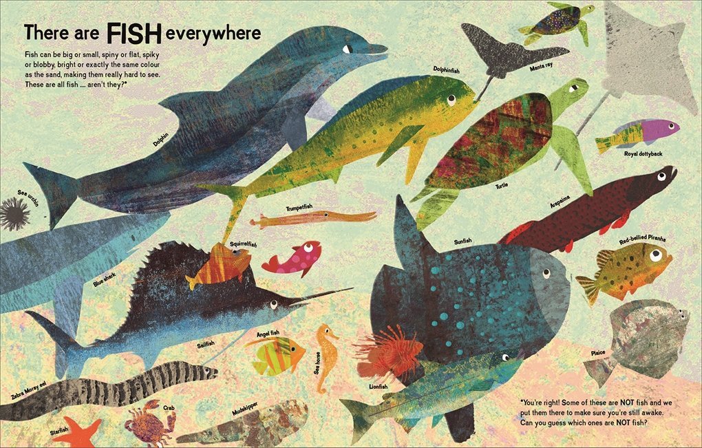 There Are Fish Everywhere preview