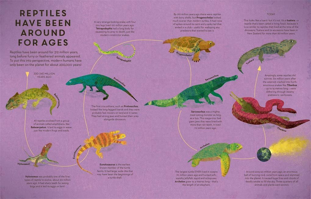 There Are Reptiles Everywhere preview