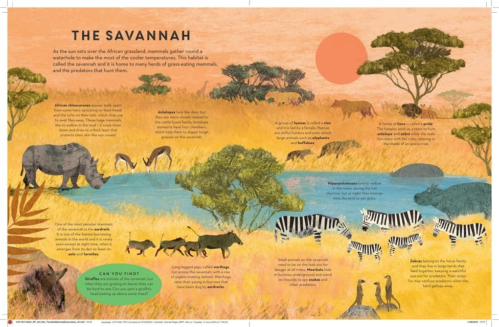 There Are Mammals Everywhere preview