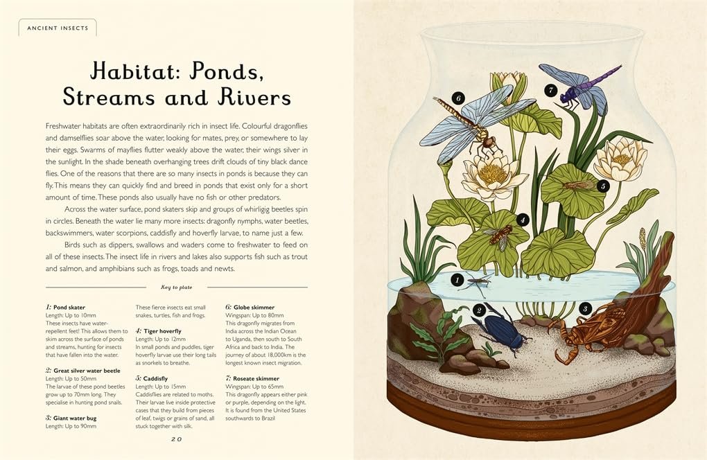 Insectarium (Junior Edition) preview