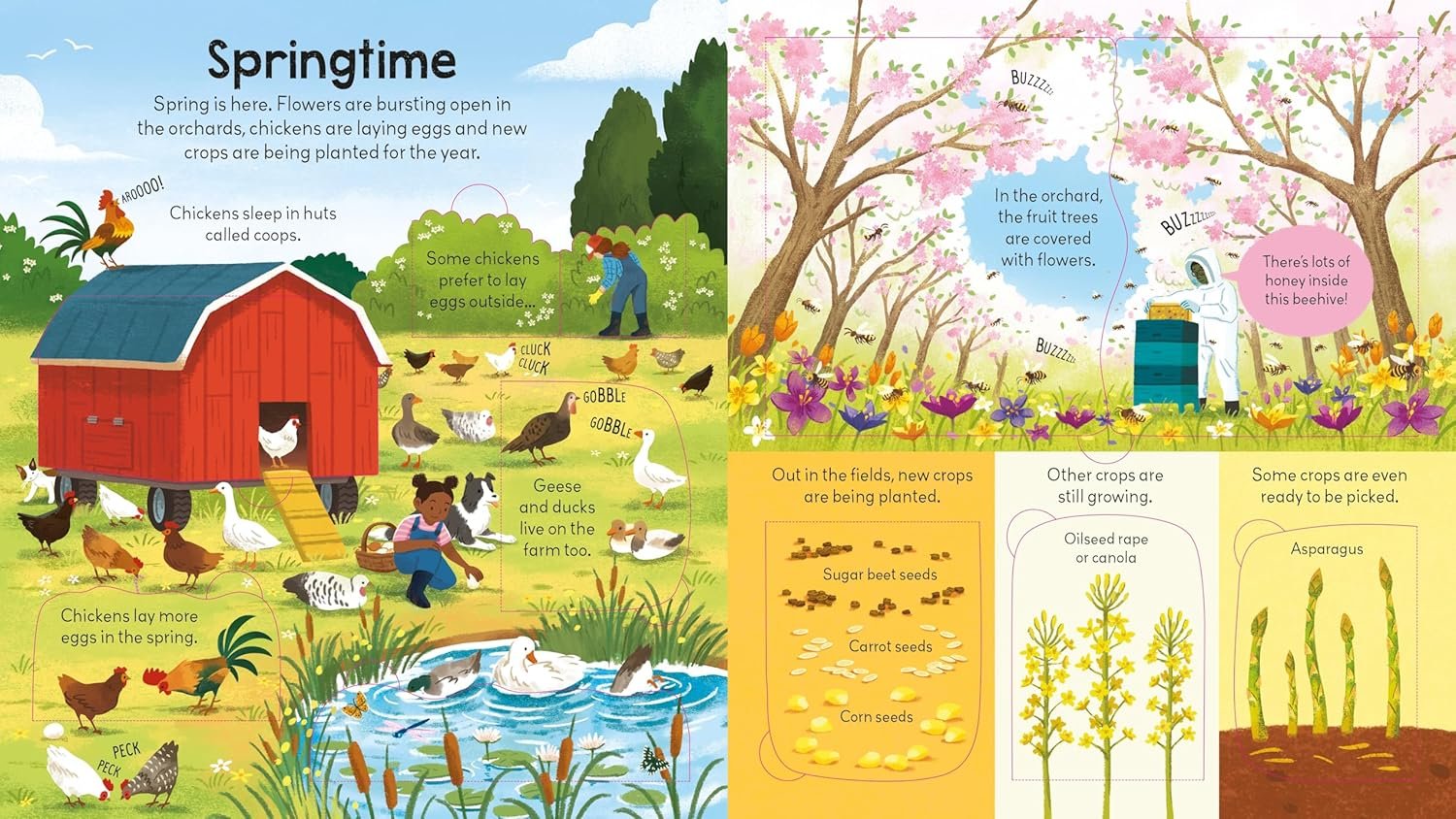 Look Inside a Farm preview