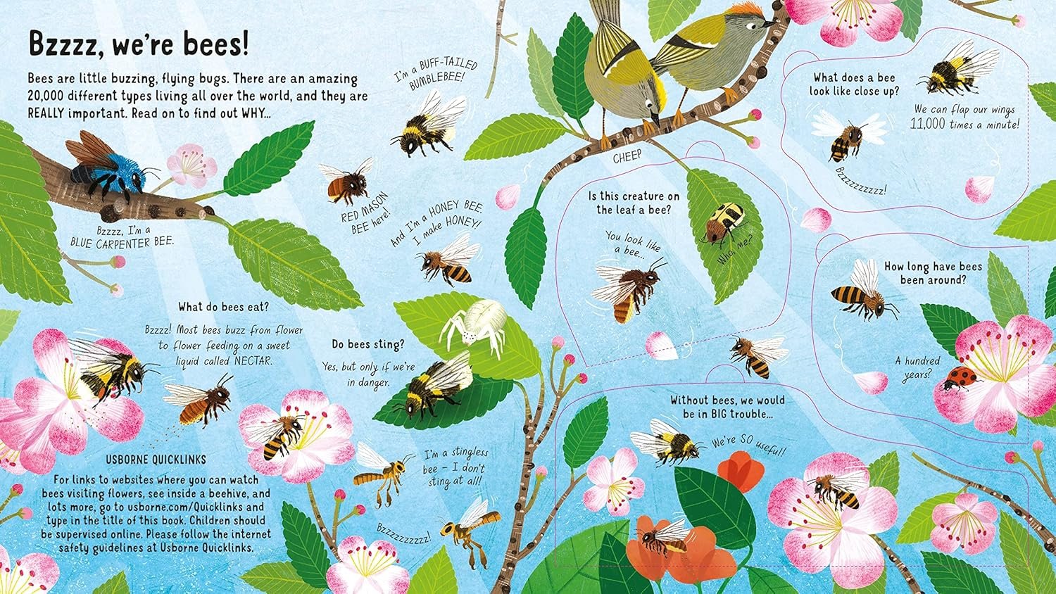 Look Inside the World of Bees preview