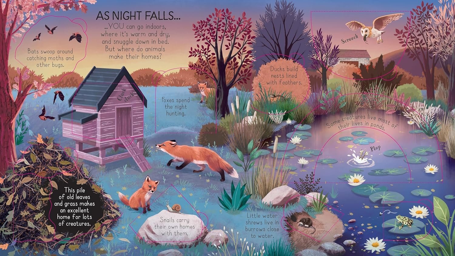 Look Inside Animal Homes preview