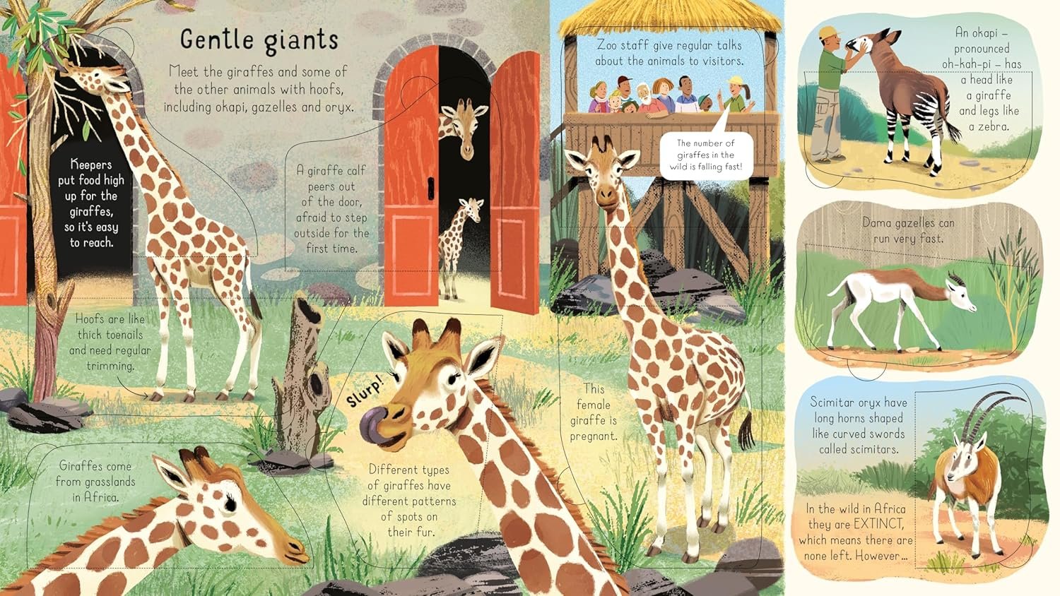 Look Inside a Zoo preview