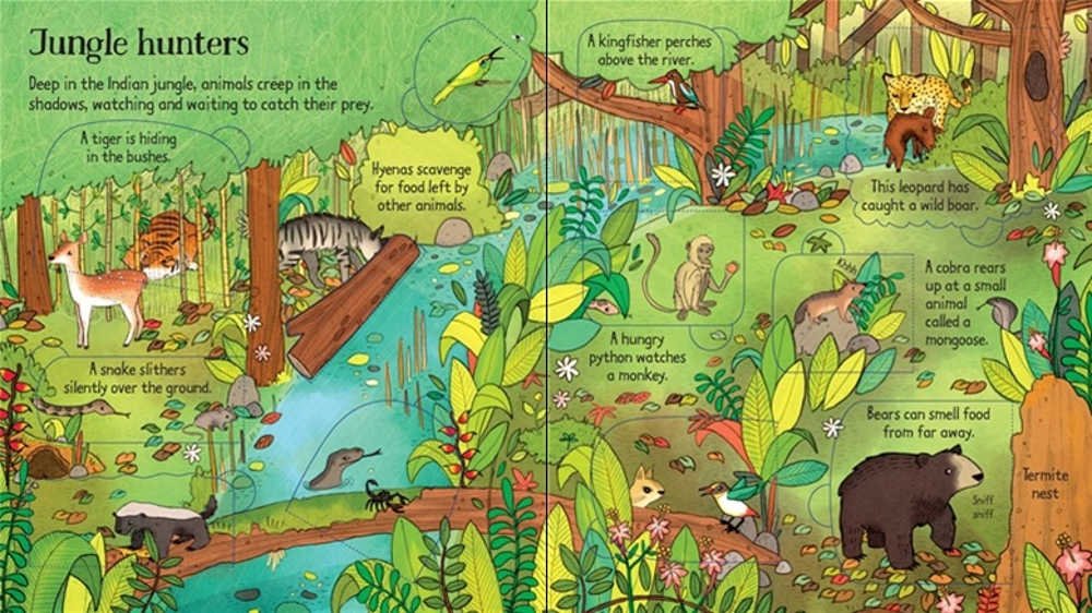 Look Inside the Jungle preview
