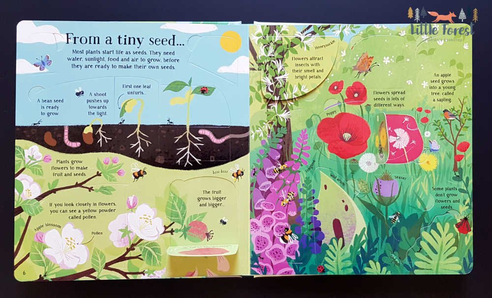 Look Inside Nature preview