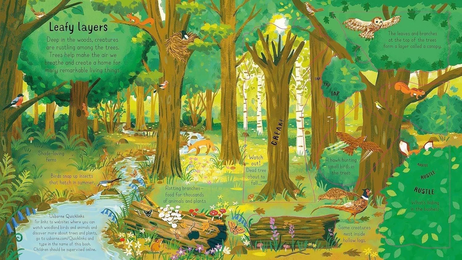Look Inside the Woods preview