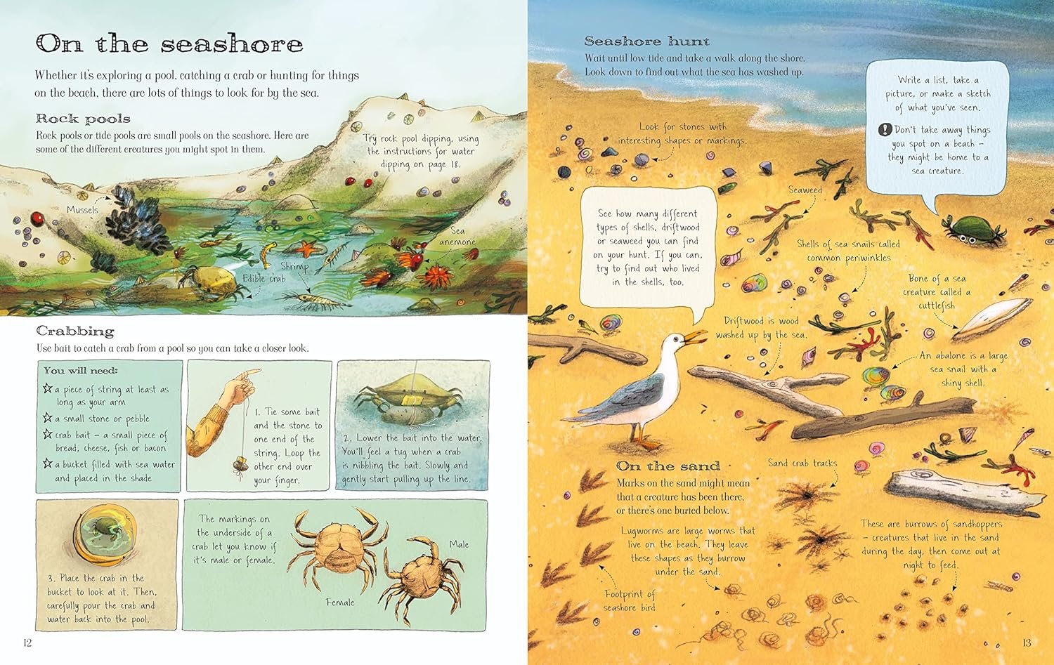 The Usborne Outdoor Book preview