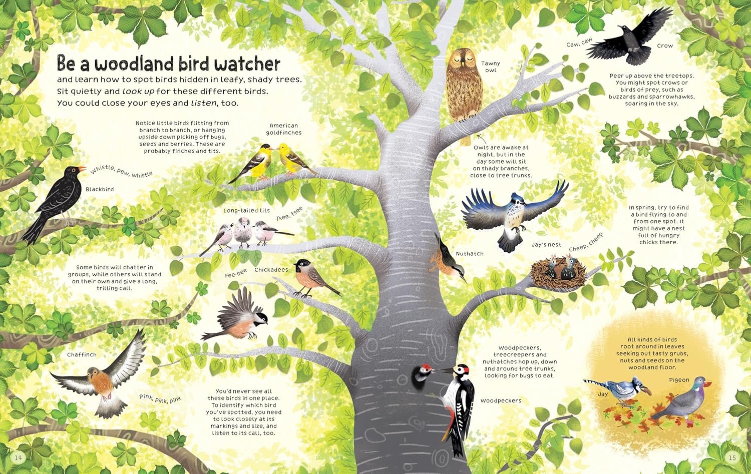 The Usborne Woodland Book preview