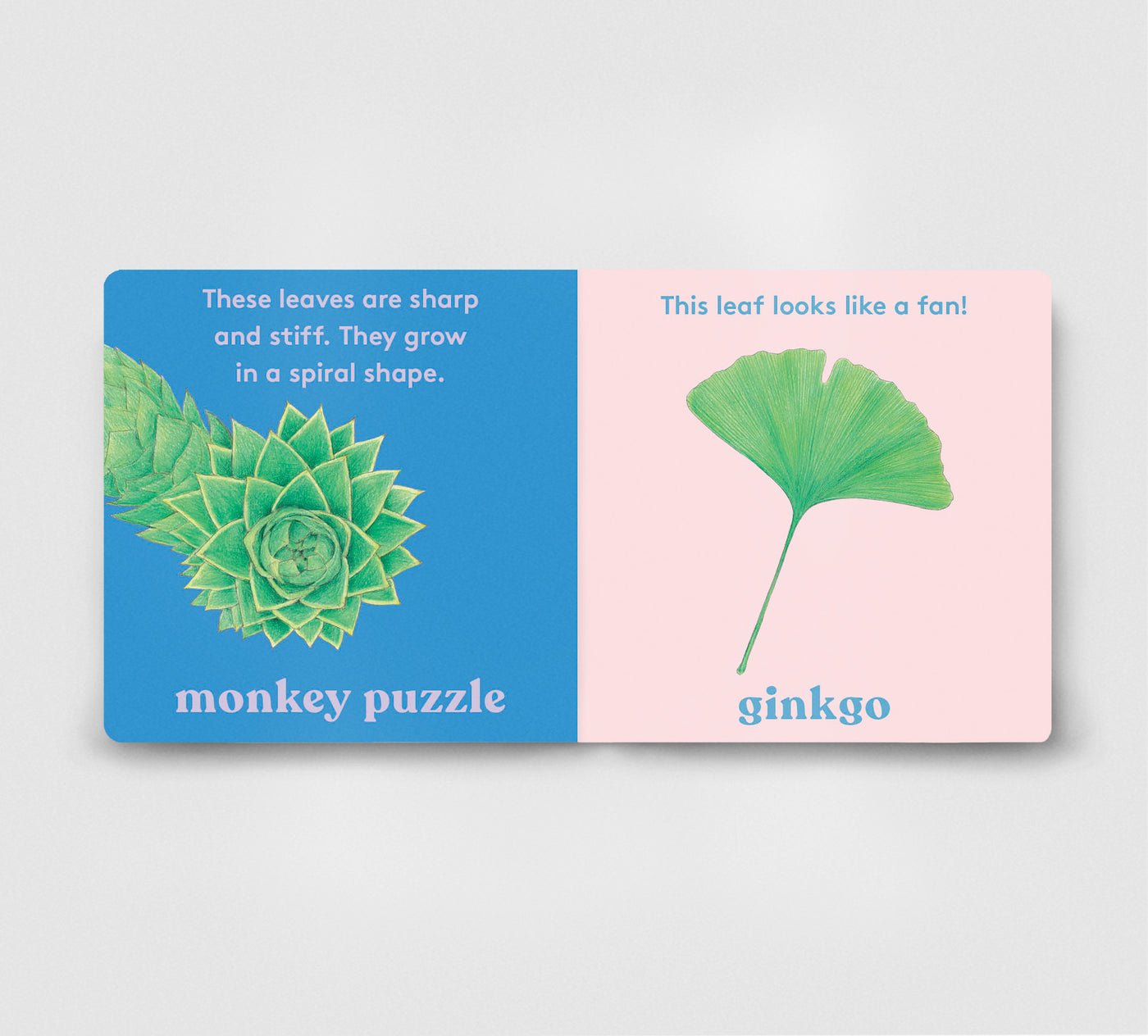 Look! a Tree! preview