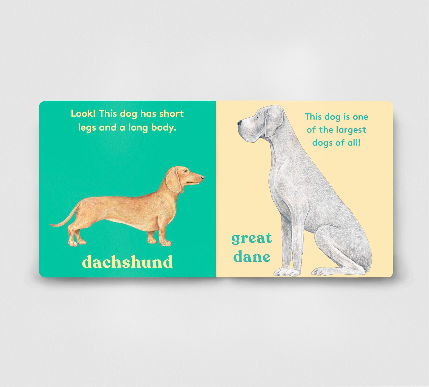 Look! a Dog! preview