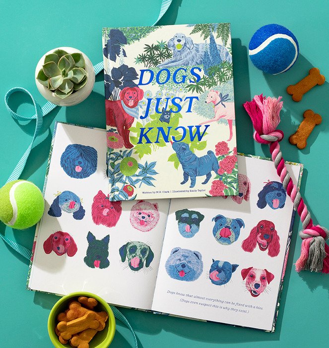 Dogs Just Know preview