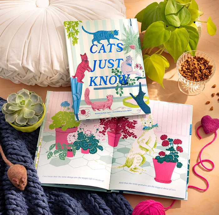 Cats Just Know preview