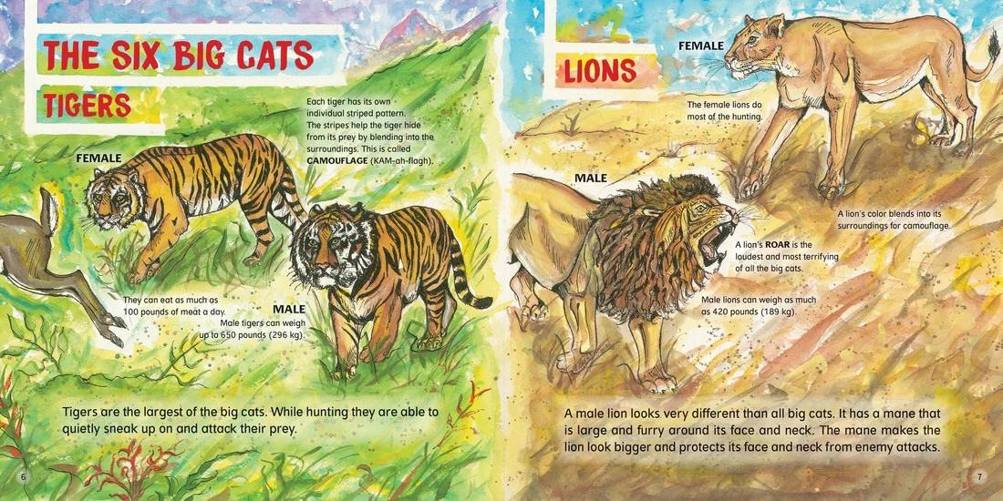 Big Cats! preview