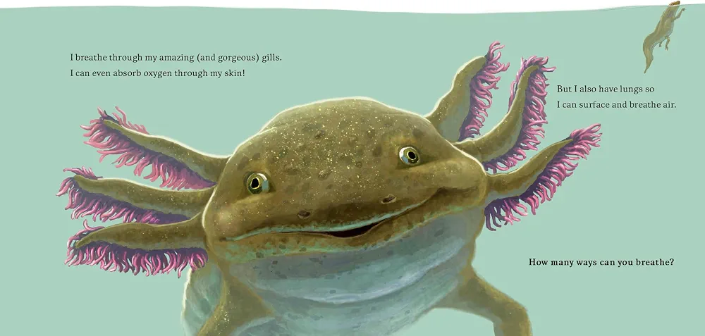 Hello, I'm an Axolotl (Meet the Wild Things, Book 4) preview
