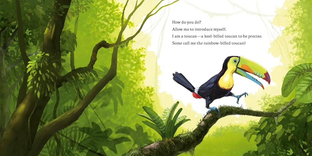Hello, I'm a Toucan (Meet the Wild Things, Book 5) preview